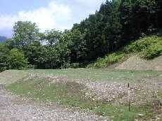 tFX