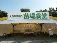苗場会場
