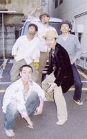 The Starkeys