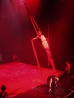Circus of Horrors