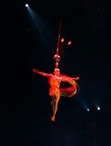 Circus of Horrors