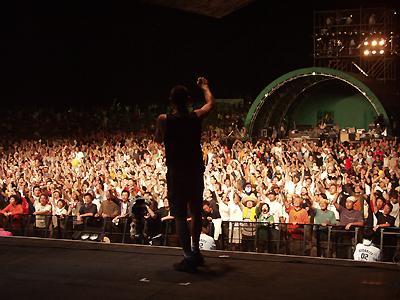 Banda Bassotti