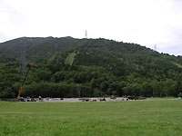 camp