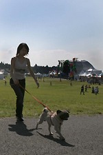 Asagiri Jam