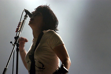 The Distillers