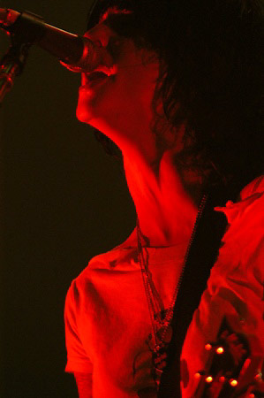 The Distillers