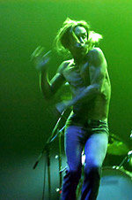 Iggy pop