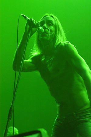 Iggy pops