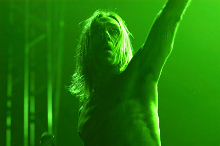Iggy pop