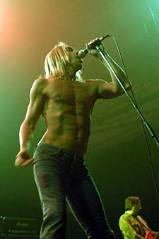 Iggy pops