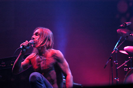 Iggy pop