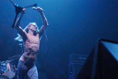 Iggy pop
