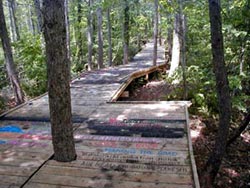 board
