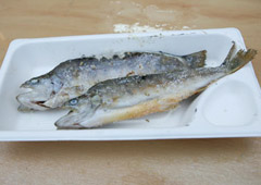 フェスごはん2012